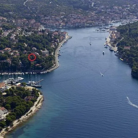 Stephania * Milna (Brac)